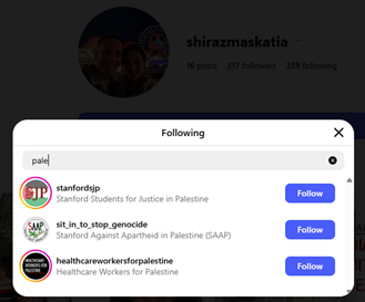 Screenshot showing pro-Palestinian instagram accounts followed by Shiraz Maskatia