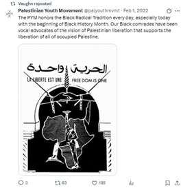 Screenshot showing Vaughn Rasberry sharing anti-Israel content