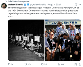 Image of a pro-Palestine repost by Saladin Ambar